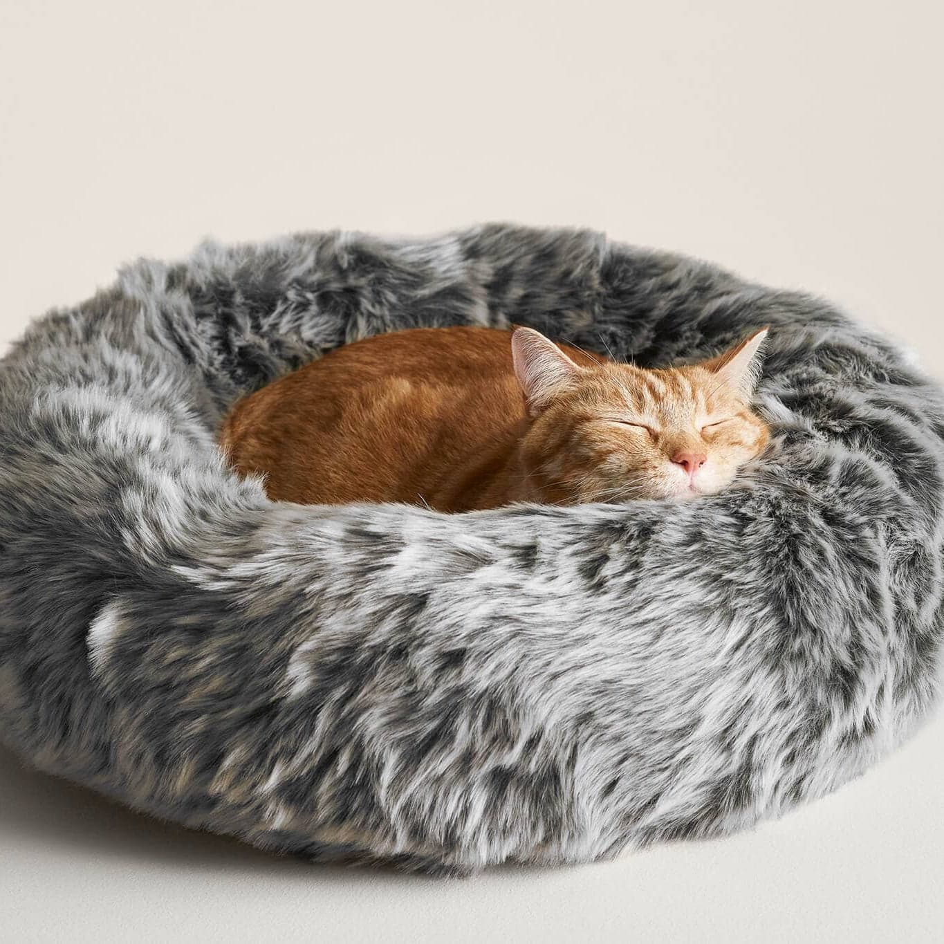 Nuzzle Cat Bed - Tuft + Paw